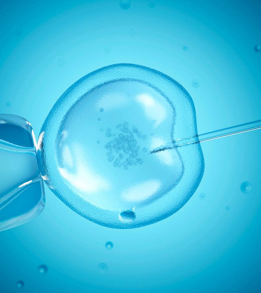 IVF Treatments