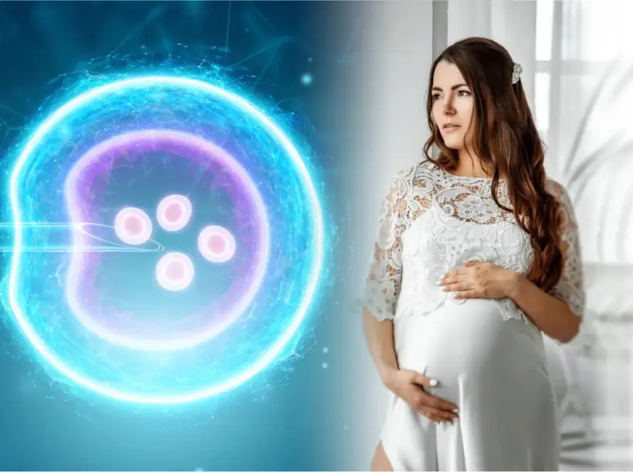 cost-IVF-treatment-chennai,iui treatment-in-chennai